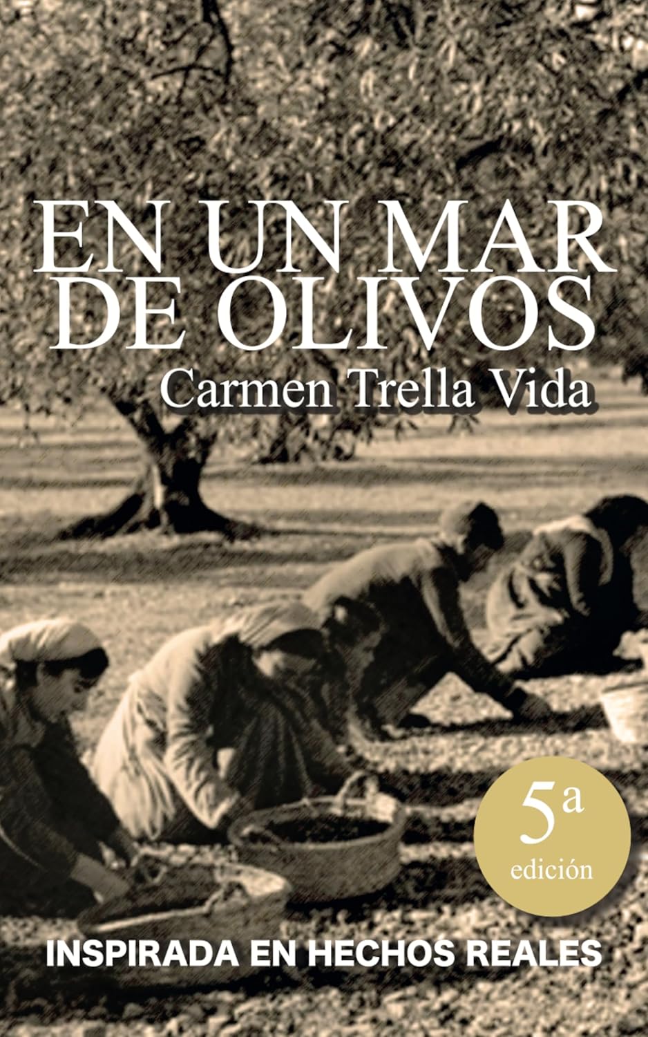 En un mar de olivos